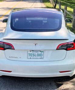 Model 3 Performance Spoiler